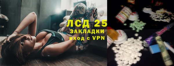 эйфоретик Ельня