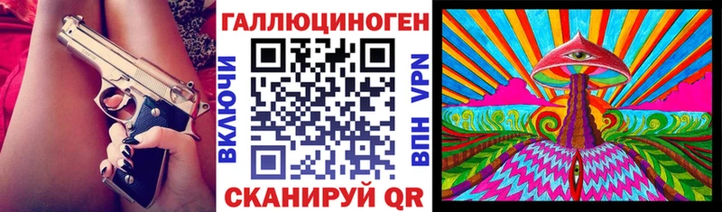 Купить где  Хилок  Галлюциногенные грибы мицелий 